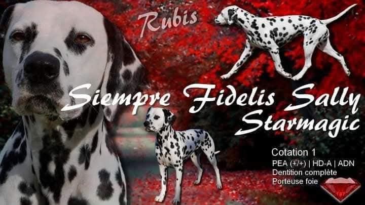 Siempre fidelis sally Starmagic
