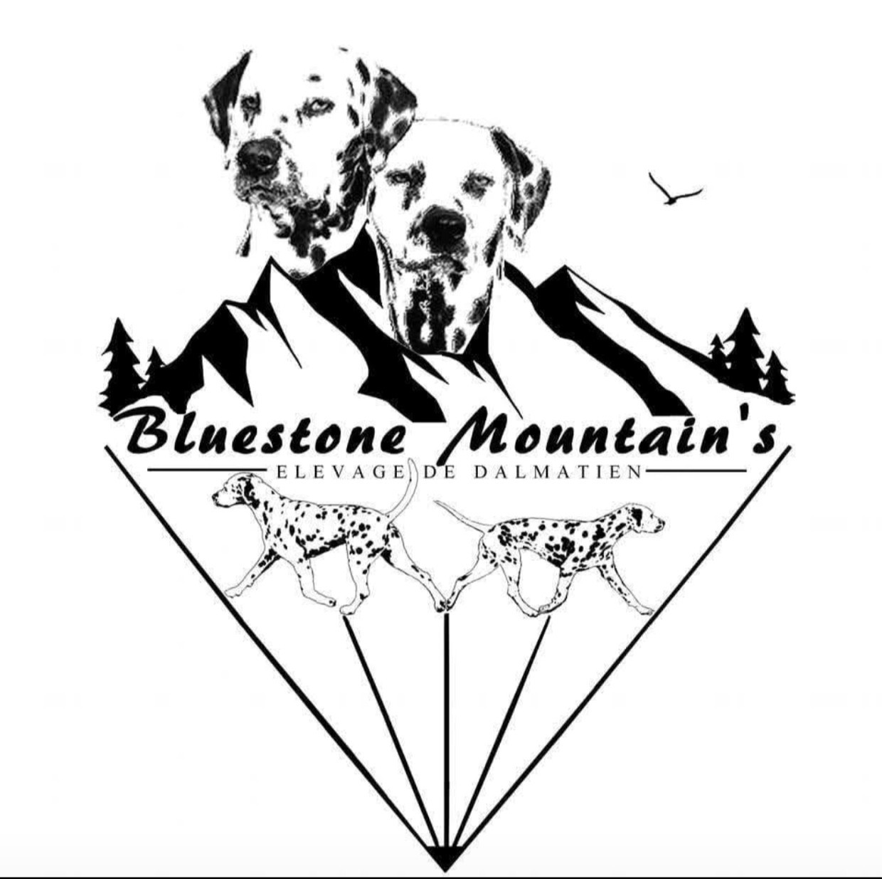 Bluestone Mountain's